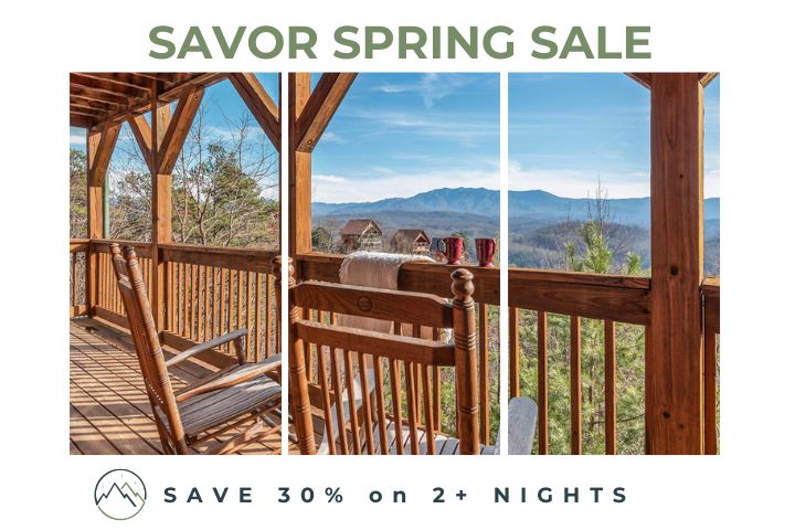 Image for SAVORSPRING